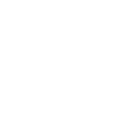 Online Course