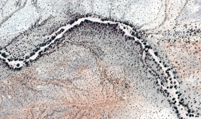 Founding Desert Elephant Corridors in Namibia