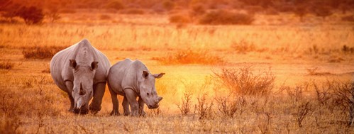 Largerb4r Banner (1746 × 661 Px)