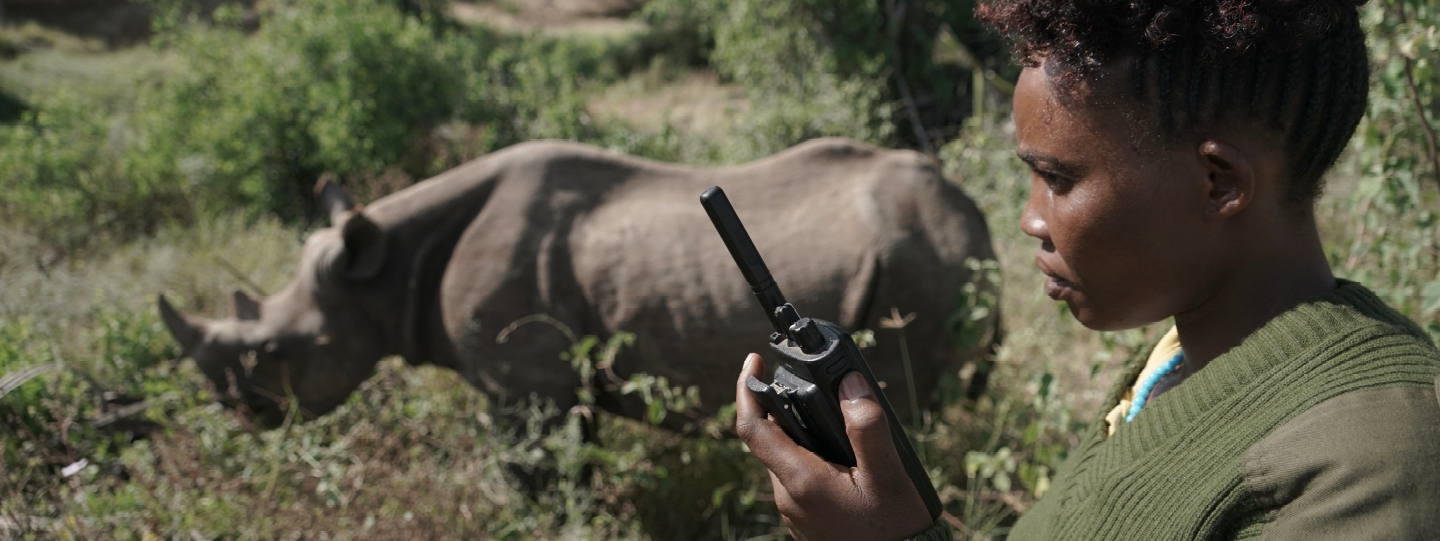 Five ways technology collaborations are helping save rhinos