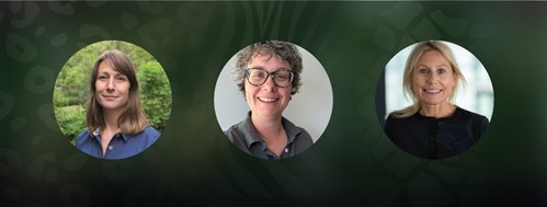 Header Image 1440X540 – 1