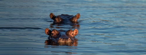 Detailed Project Header Kafue Zambia (1)