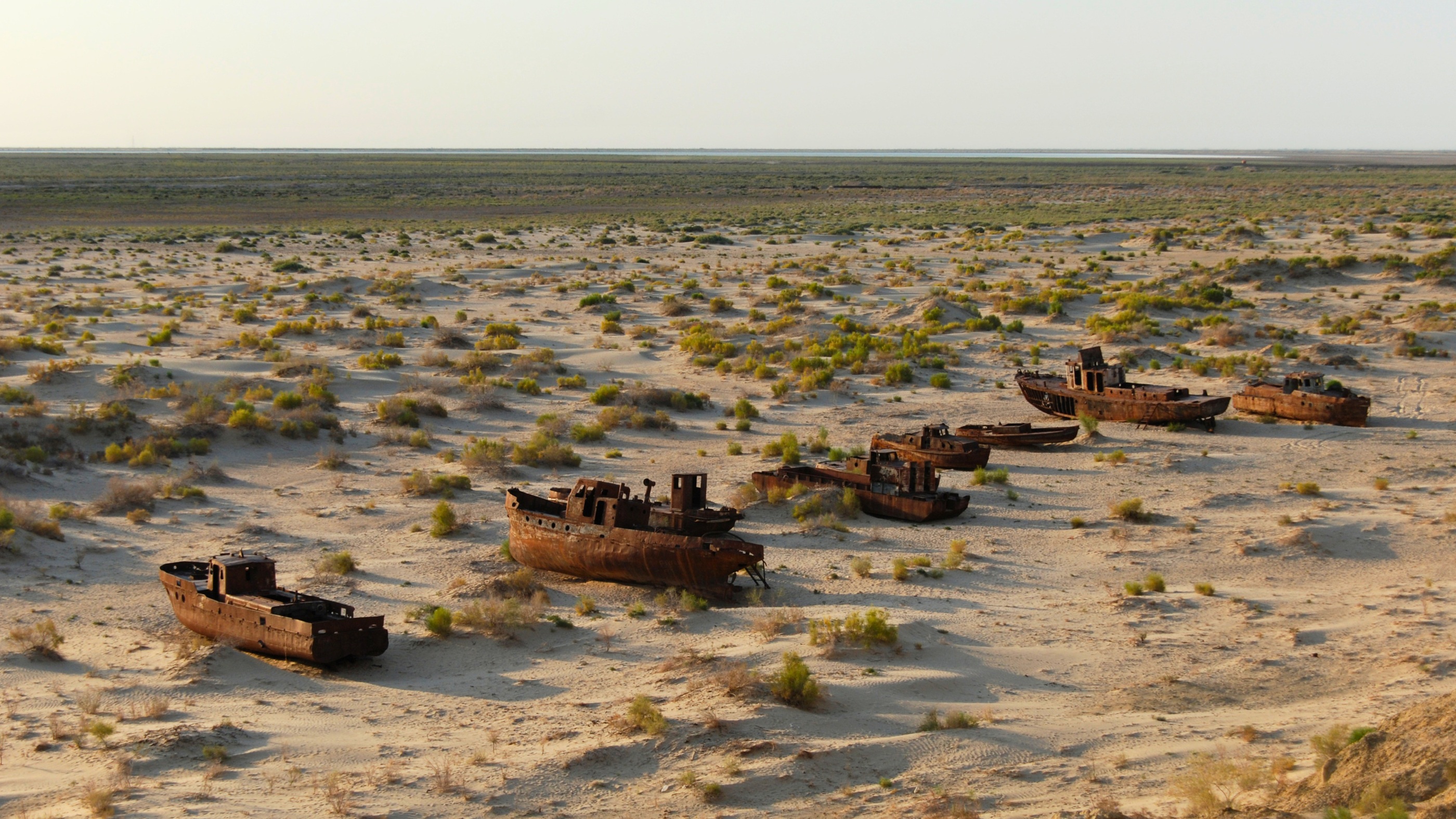Seabed Desert