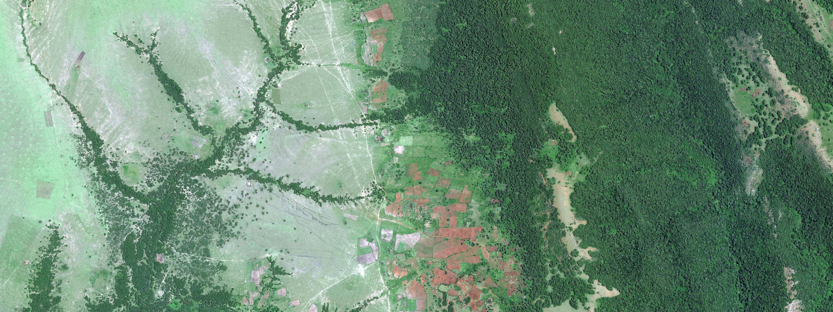 NEWS BANNERS Loita Forest, Masaai Mara, Pléiades Neo © Ds (2024) Distribution AIRBUS DS (2880 X 1080 Px)